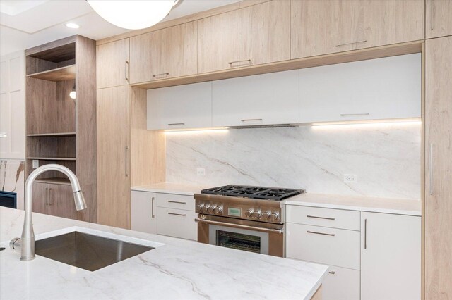 1542 W Highland Ave, Chicago, IL 60660 - kitchen featuring high end stainless steel range oven, a sink, light stone counters, modern cabinets, and decorative backsplash