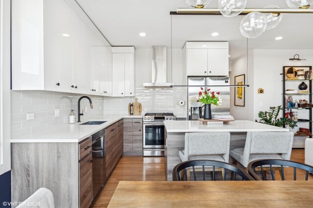 1203 E 46th St Unit 4N, Chicago, IL 60653 - kitchen featuring appliances with stainless steel finishes, wall chimney exhaust hood, a sink, modern cabinets, and light countertops