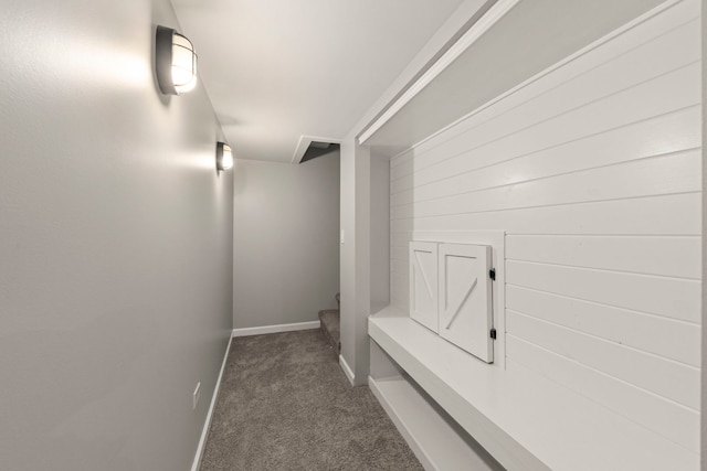 24006 Skyler Ln, Plainfield, IL 60586 - hall featuring dark carpet and baseboards