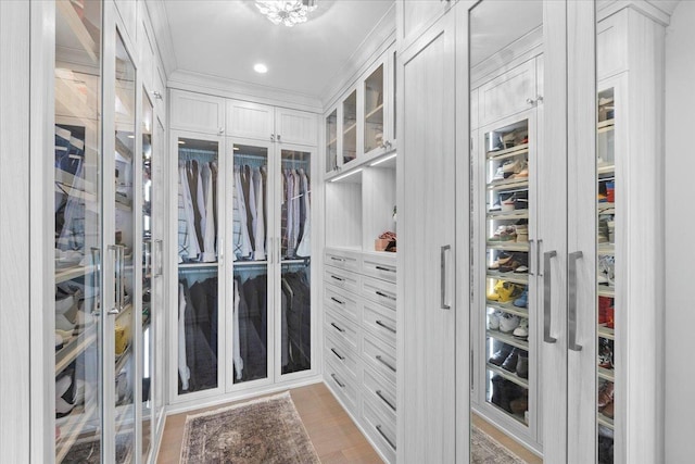 2773 N Hampden Ct Unit Ph03, Chicago, IL 60614 - view of spacious closet