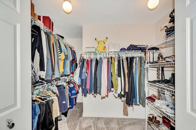 16313 Bob White Cir, Orland Park, IL 60467 - walk in closet with carpet flooring