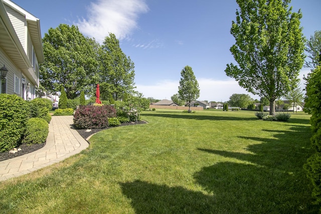 689 Revere St, Bourbonnais, IL 60914 - view of green lawn
