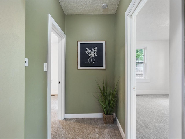 426 Reed St, Pecatonica, IL 61063 - corridor featuring carpet floors, a textured ceiling, and baseboards