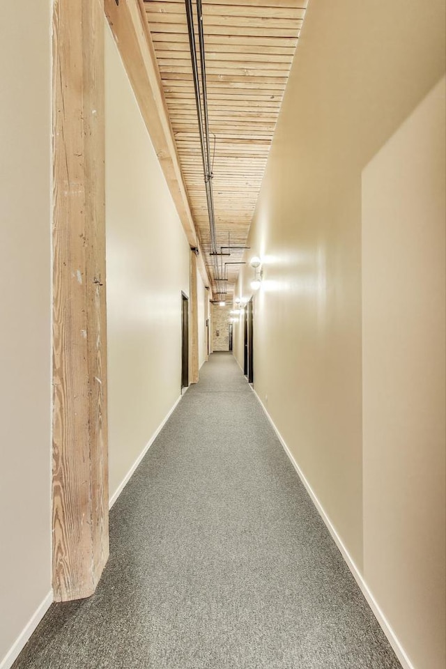 2654 W Medill Ave Unit 202, Chicago, IL 60647 - hallway with wooden ceiling, carpet flooring, and baseboards