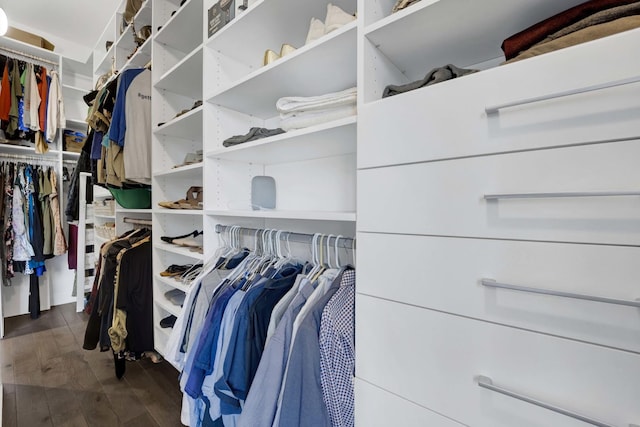 3056 N Monticello Ave, Chicago, IL 60618 - walk in closet with dark wood-style flooring