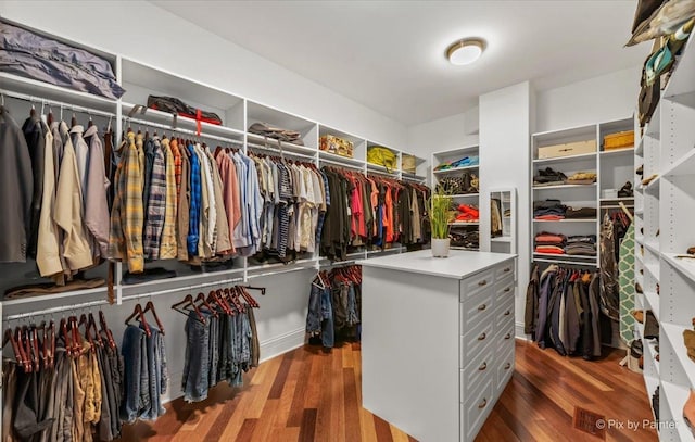 7N627 E Drive S, Elgin, IL 60177 - spacious closet featuring wood finished floors