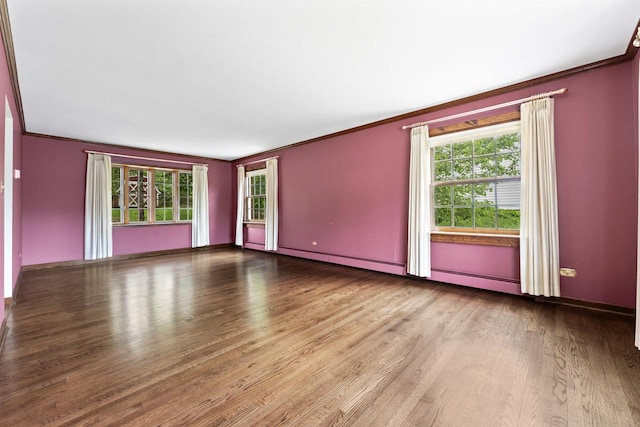 208 Ridge St, Algonquin, IL 60102 - spare room with crown molding, healthy amount of natural light, wood finished floors, and baseboard heating