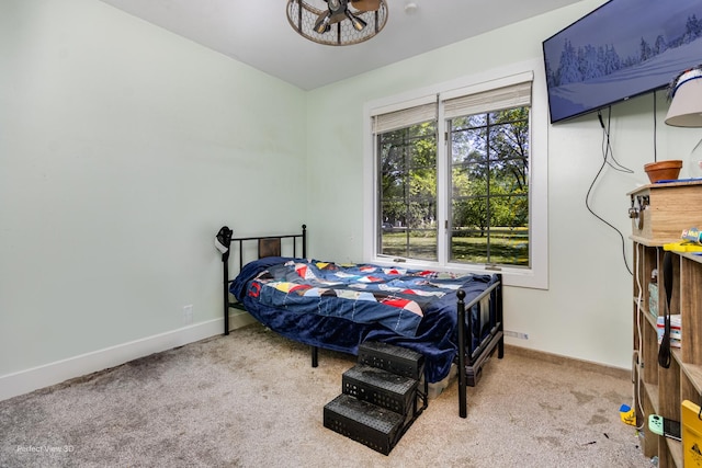 340 S Francis St, Braidwood, IL 60408 - carpeted bedroom featuring baseboards