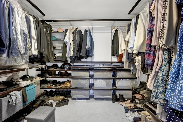 1440 N Lake Shore Dr Unit 4Bd, Chicago, IL 60610 - walk in closet with carpet floors