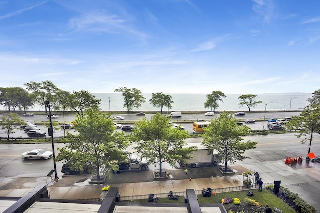 1440 N Lake Shore Dr Unit 4Bd, Chicago, IL 60610 - water view