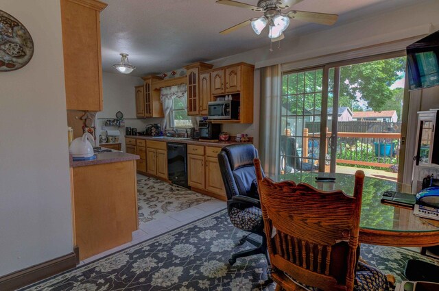 606 E Houghton St, Tuscola, IL 61953 - kitchen with dishwasher, stainless steel microwave, a ceiling fan, a sink, and glass insert cabinets