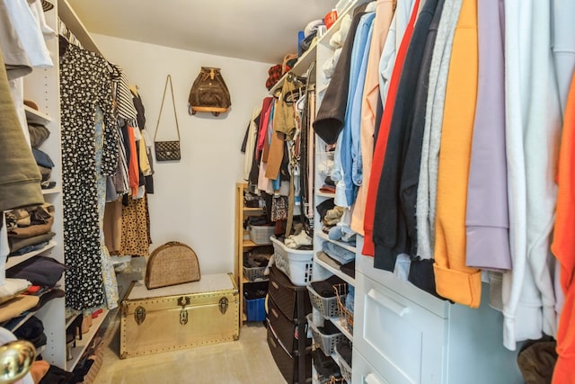 view of walk in closet