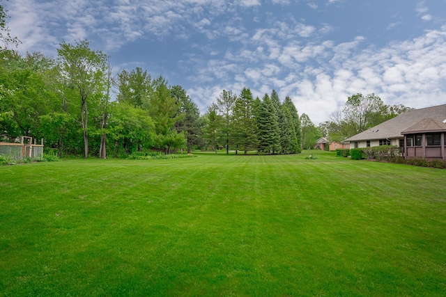 26032 W Laurel Ct, Wauconda, IL 60084 - view of green lawn