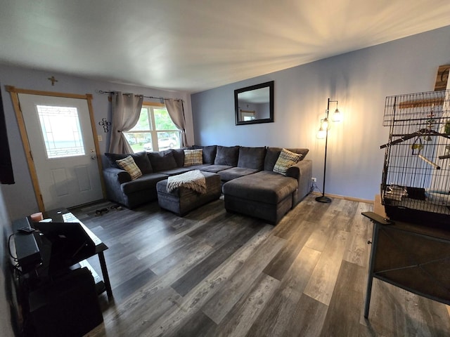 living area with wood finished floors
