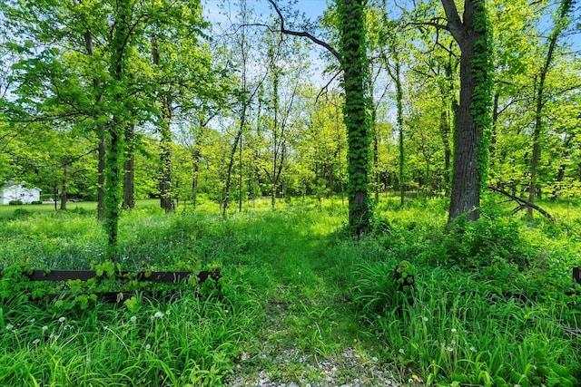 26359 N Hickory Rd, Mundelein, IL 60060