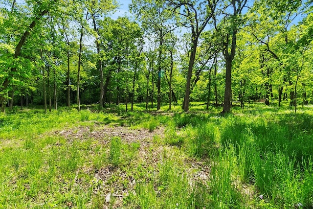 26359 N Hickory Rd, Mundelein, IL 60060