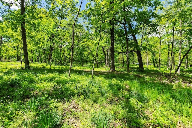 26359 N Hickory Rd, Mundelein, IL 60060