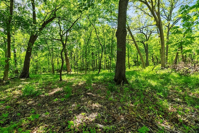 26359 N Hickory Rd, Mundelein, IL 60060