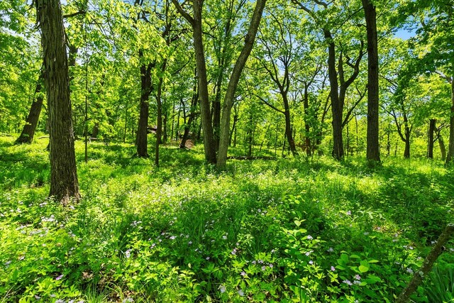 26359 N Hickory Rd, Mundelein, IL 60060