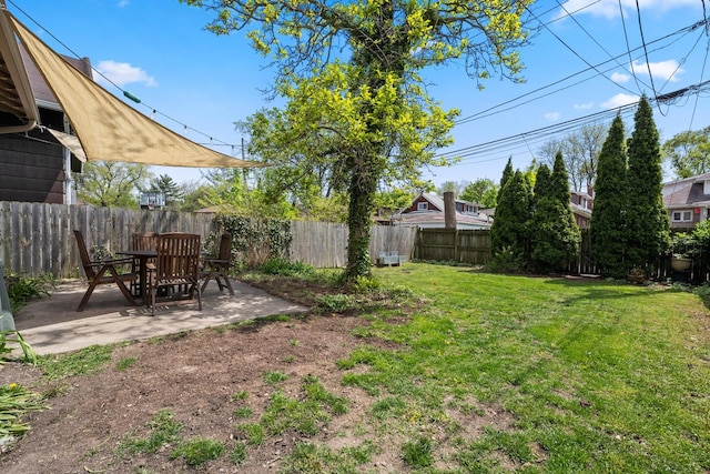 view of yard featuring a patio area