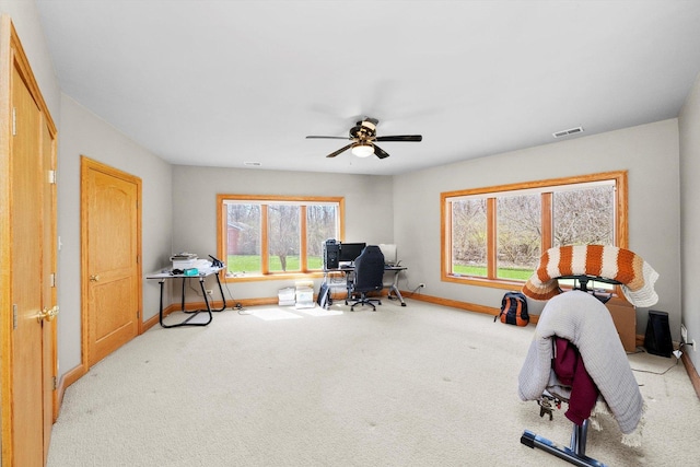 16608 W 135th St, Lemont, IL 60439 - office area with baseboards, plenty of natural light, and carpet floors