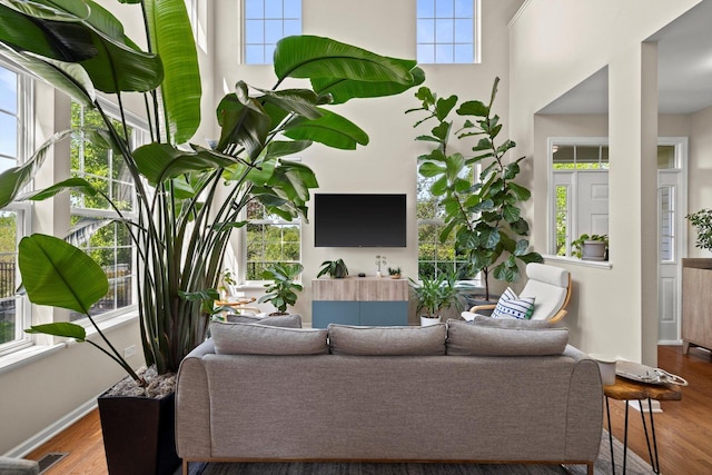 698 S Jade Ln Unit 698, Round Lake, IL 60073 - living area featuring wood finished floors, baseboards, and a high ceiling