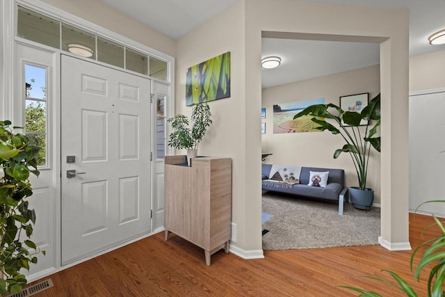 698 S Jade Ln Unit 698, Round Lake, IL 60073 - foyer with wood finished floors and baseboards