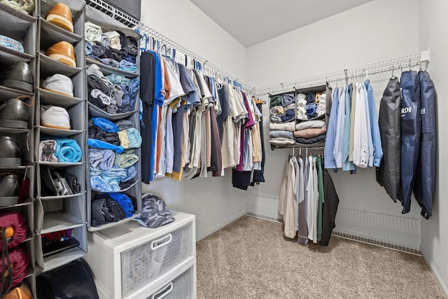 698 S Jade Ln Unit 698, Round Lake, IL 60073 - spacious closet with carpet