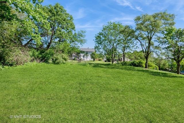 view of grassy yard