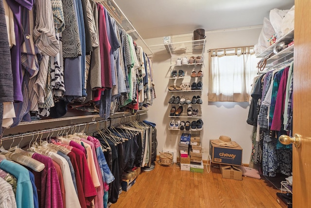 7009 W 115th Pl, Worth, IL 60482 - walk in closet with wood finished floors