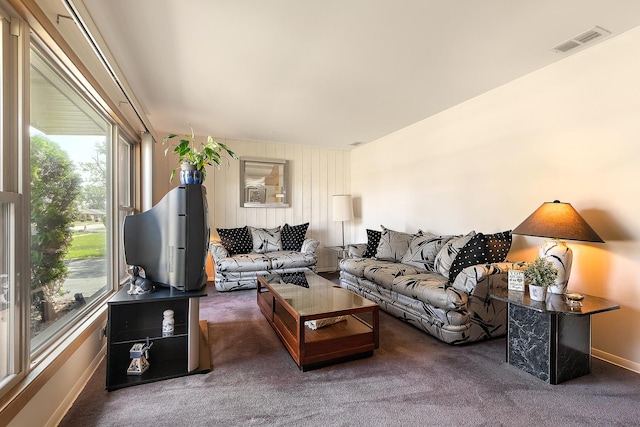 7009 W 115th Pl, Worth, IL 60482 - carpeted living room featuring baseboards