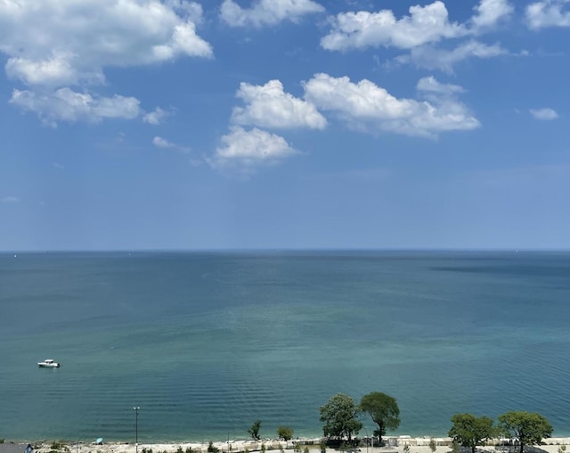 4940 S E End Ave Unit 17A, Chicago, IL 60615 - photo 15