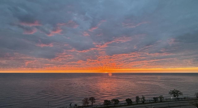 4940 S E End Ave Unit 17A, Chicago, IL 60615 - photo 21