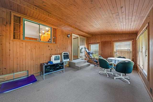 14356 S Birchwood Ct, Homer Glen, IL 60491 - workout area featuring wooden walls, carpet floors, wooden ceiling, and heating unit