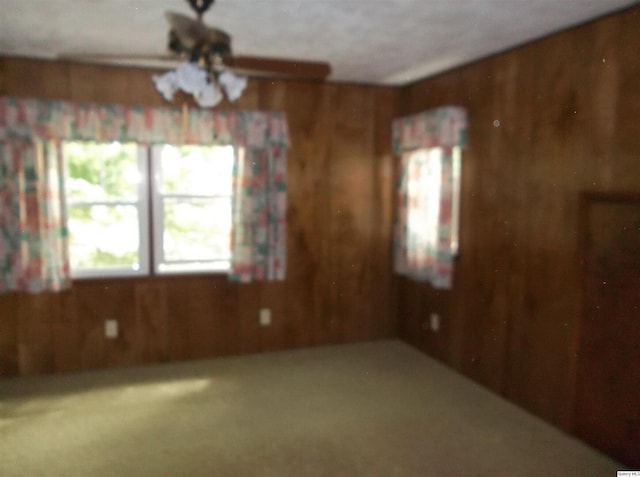 1619 Locust, Quincy, IL 62301 - unfurnished dining area featuring wood walls and carpet flooring