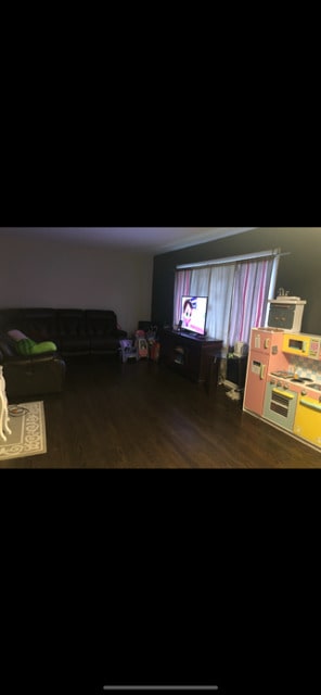 office featuring wood finished floors