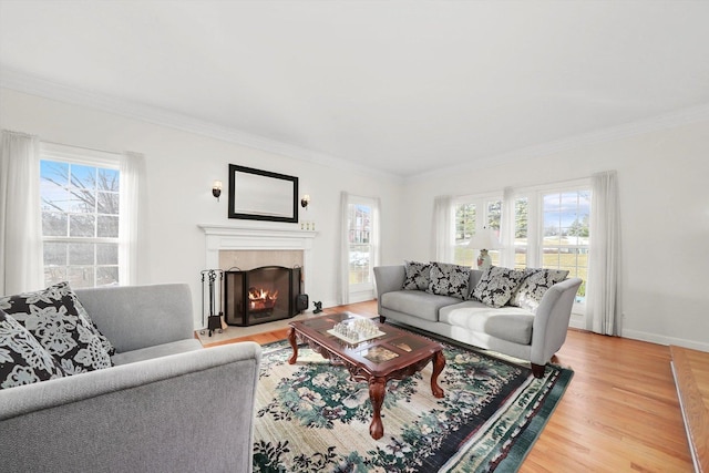 625 Fielding Place Ct, Barrington, IL 60010 - living room featuring healthy amount of natural light, light wood-style flooring, crown molding, a premium fireplace, and baseboards