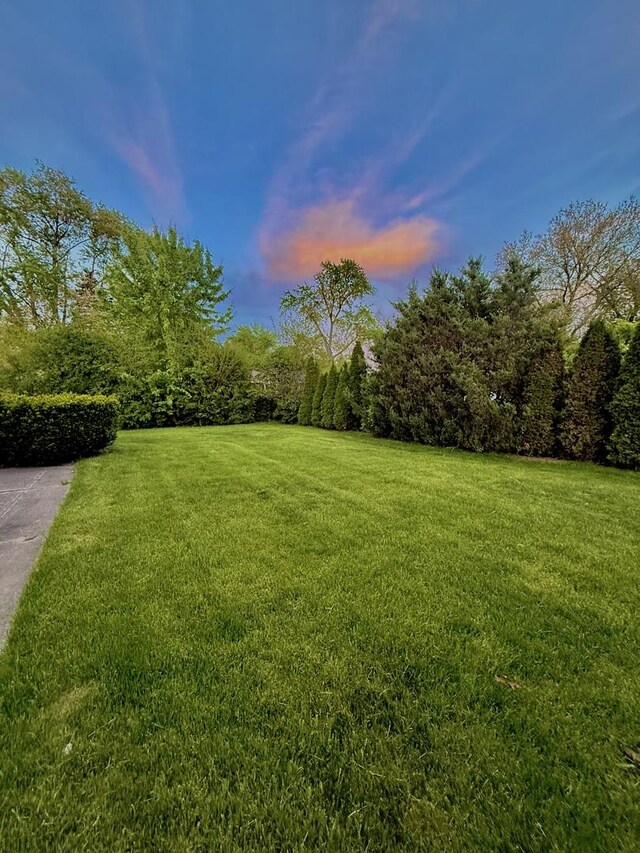 16W639 Red Oak Ave, Bensenville, IL 60106 - photo 40