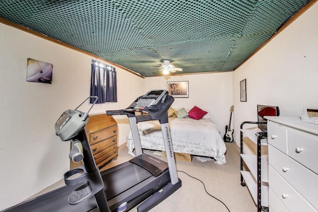 5506 Hickory Grove Ct, Plainfield, IL 60586 - workout area with ceiling fan and carpet flooring