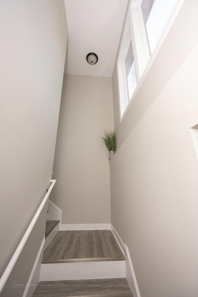 23049 W Andrew Ave, Channahon, IL 60410 - staircase featuring wood finished floors and baseboards
