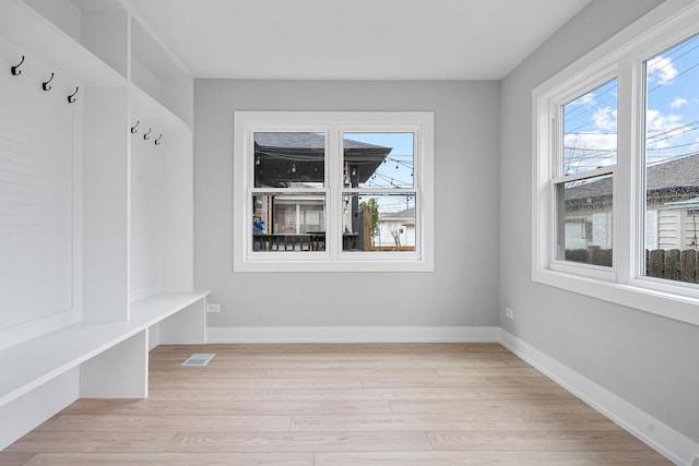 7306 W Pensacola Ave, Norridge, IL 60706 - mudroom with healthy amount of natural light, light wood-style flooring, and baseboards