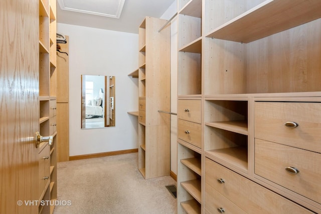 20827 W Torrey Pines Ln, Plainfield, IL 60544 - walk in closet with light carpet