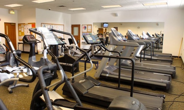 20827 W Torrey Pines Ln, Plainfield, IL 60544 - workout area with carpet