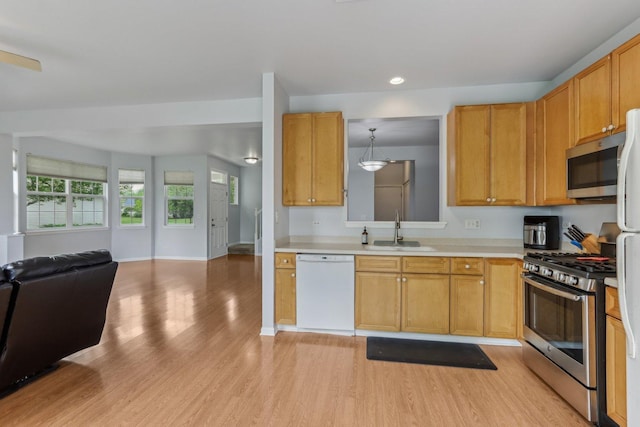 2007 S Kristina Ln, Round Lake, IL 60073 - kitchen with stainless steel appliances, a sink, open floor plan, light wood finished floors, and light countertops