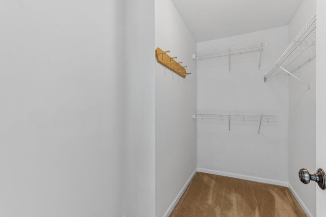 2007 S Kristina Ln, Round Lake, IL 60073 - walk in closet with carpet floors