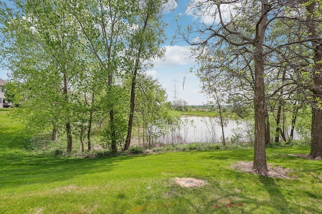 2007 S Kristina Ln, Round Lake, IL 60073 - view of green lawn with a water view