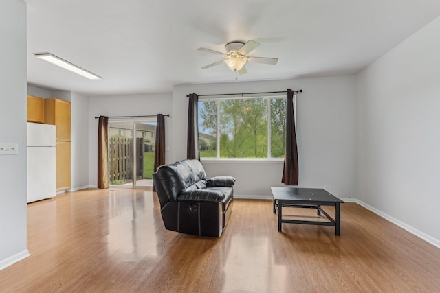 2007 S Kristina Ln, Round Lake, IL 60073 - sitting room with light wood finished floors, ceiling fan, and baseboards