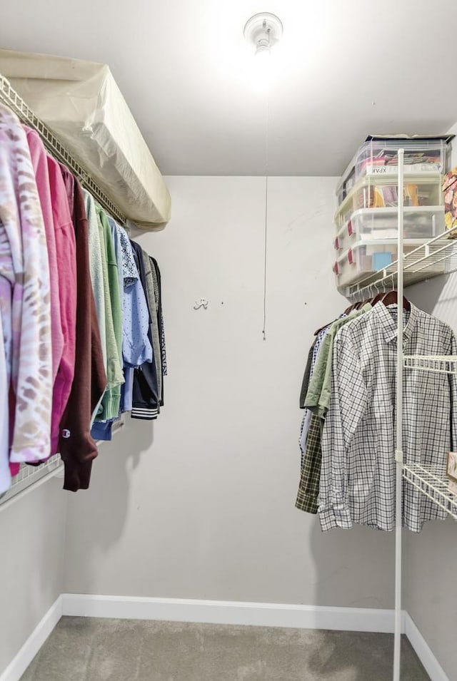 view of walk in closet