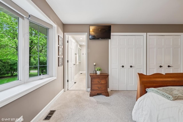 25 Lagoon Dr, Hawthorn Woods, IL 60047 - carpeted bedroom featuring multiple closets and baseboards
