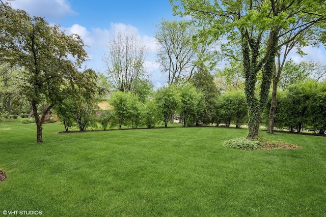 25 Lagoon Dr, Hawthorn Woods, IL 60047 - view of grassy yard